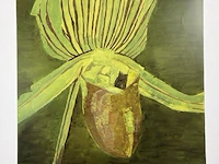 Luc tuymans- orchid