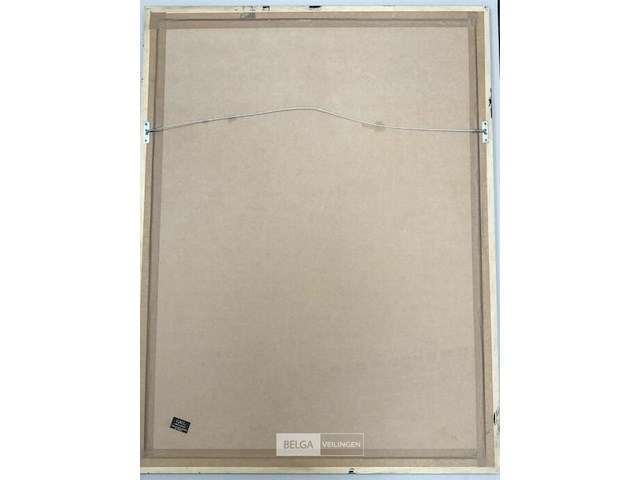 Luchtballonvaarder - xl - afbeelding 3 van  3