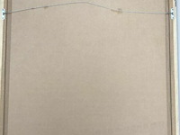 Luchtballonvaarder - xl - afbeelding 3 van  3