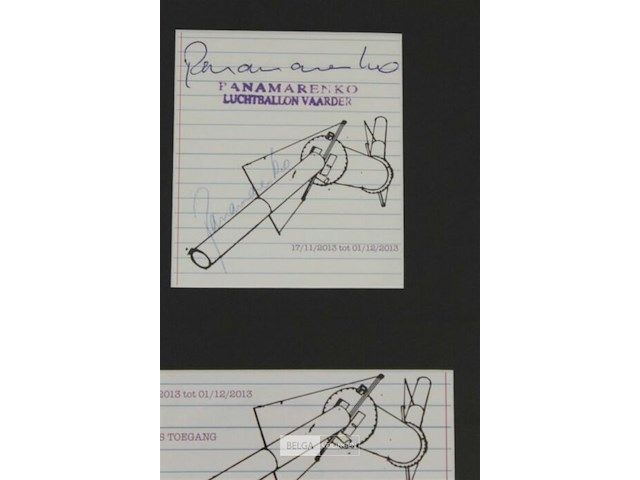 Luchtballonvaarder - afbeelding 3 van  4