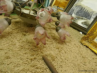 Luchter - afbeelding 2 van  3