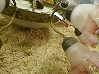 Luchter - afbeelding 1 van  3