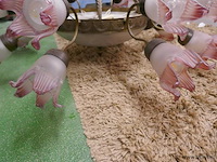 Luchter - afbeelding 3 van  3