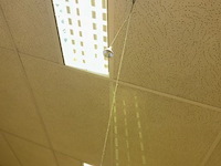 Luster - afbeelding 5 van  6