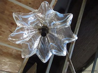 Luster - afbeelding 2 van  2