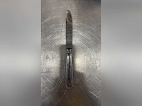 Luxe dessertmes (89x)