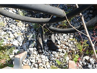 Machineaccessoires - afbeelding 9 van  14