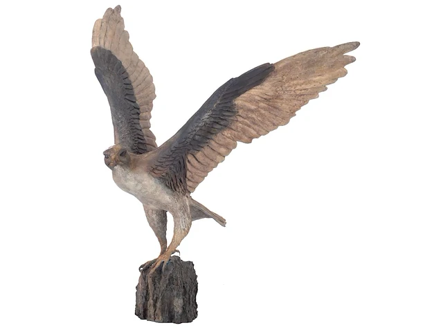 Madeleine van der knoop (1953), the falcon, n° 3/6, cold-painted bronze, 71 x 78 cm. (27.94 x 30.71 in.) - afbeelding 1 van  10