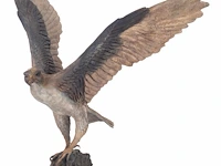 Madeleine van der knoop (1953), the falcon, n° 3/6, cold-painted bronze, 71 x 78 cm. (27.94 x 30.71 in.)