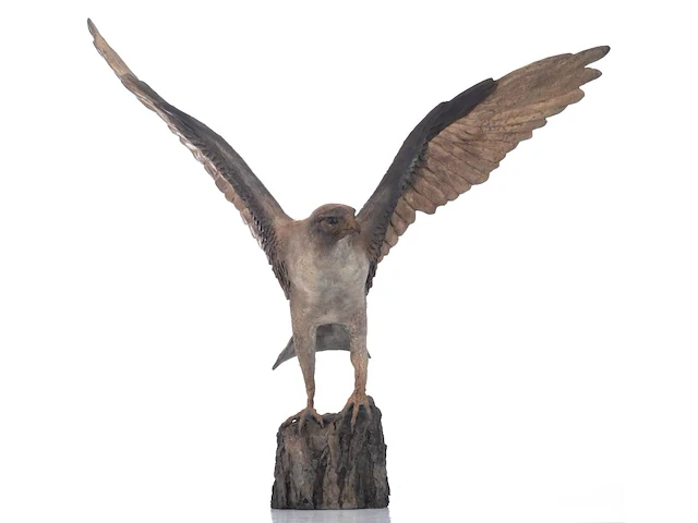 Madeleine van der knoop (1953), the falcon, n° 3/6, cold-painted bronze, 71 x 78 cm. (27.94 x 30.71 in.) - afbeelding 3 van  10