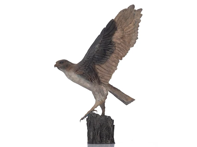 Madeleine van der knoop (1953), the falcon, n° 3/6, cold-painted bronze, 71 x 78 cm. (27.94 x 30.71 in.) - afbeelding 4 van  10