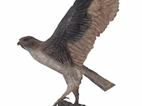 Madeleine van der knoop (1953), the falcon, n° 3/6, cold-painted bronze, 71 x 78 cm. (27.94 x 30.71 in.) - afbeelding 4 van  10