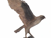 Madeleine van der knoop (1953), the falcon, n° 3/6, cold-painted bronze, 71 x 78 cm. (27.94 x 30.71 in.) - afbeelding 6 van  10