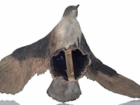 Madeleine van der knoop (1953), the falcon, n° 3/6, cold-painted bronze, 71 x 78 cm. (27.94 x 30.71 in.) - afbeelding 8 van  10
