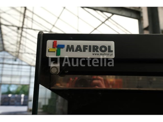 Mafirol verwarmde vitrinekast - afbeelding 2 van  9
