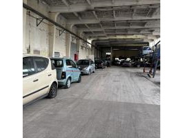 Magazijnopruiming auto's: dendermonde