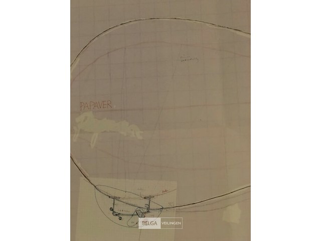 Man powered papaver en blimp - 2002 - xl - afbeelding 1 van  7