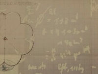 Man powered papaver en blimp - 2002 - xl - afbeelding 4 van  7