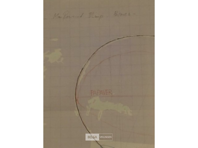 Man powered papaver en blimp - 2002 - xl - afbeelding 6 van  7