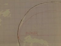 Man powered papaver en blimp - 2002 - xl - afbeelding 6 van  7