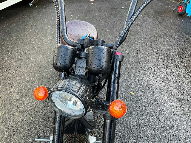 Mangosteen super elektrische fiets - afbeelding 3 van  15