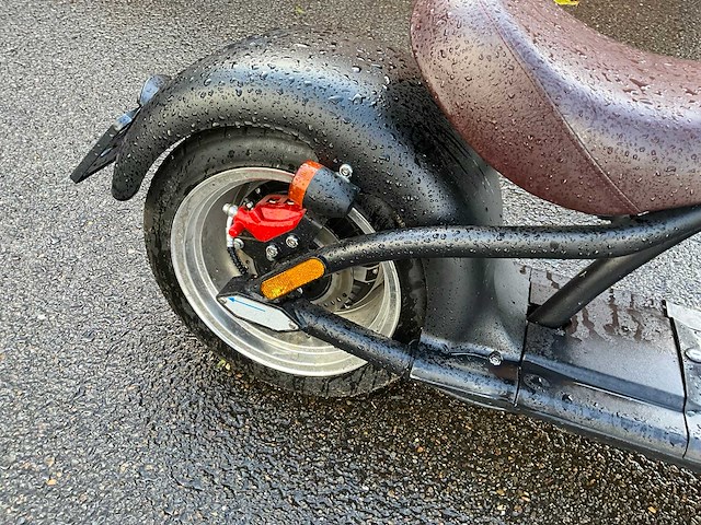 Mangosteen super elektrische fiets - afbeelding 4 van  15