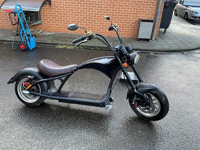 Mangosteen super elektrische fiets - afbeelding 9 van  15