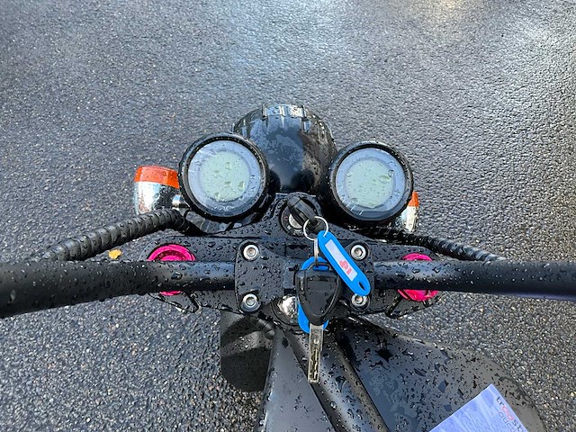 Mangosteen super elektrische fiets - afbeelding 15 van  15