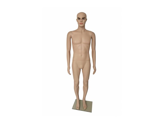 Mannelijk model - afbeelding 3 van  7