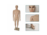Mannelijk model - afbeelding 4 van  7