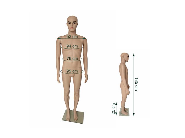 Mannelijk model - afbeelding 5 van  7