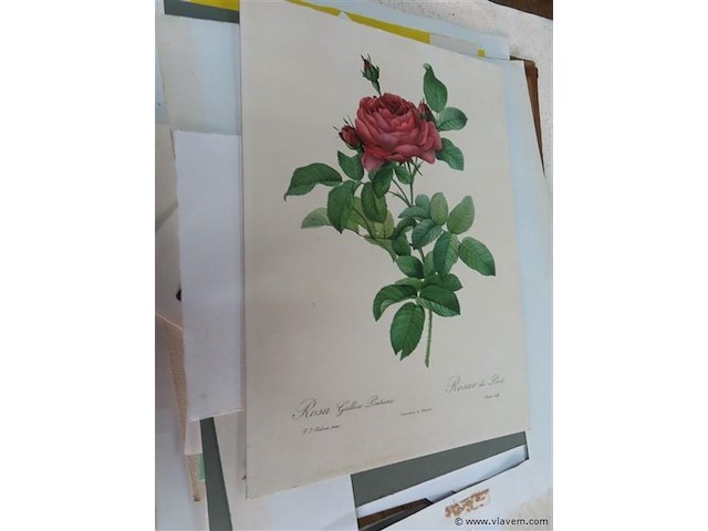 Map gevuld met diverse werken, oa jef van tuerenhout - afbeelding 18 van  31