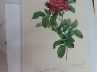 Map gevuld met diverse werken, oa jef van tuerenhout - afbeelding 18 van  31