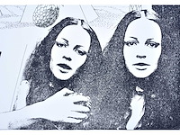 Marc vanderleenen - zeefdruk - afbeelding 5 van  8