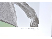 Marcel maeyer - kermispaarden - kleurenzeefdruk - afbeelding 2 van  7