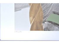 Marcel maeyer - kermispaarden - kleurenzeefdruk - afbeelding 3 van  7