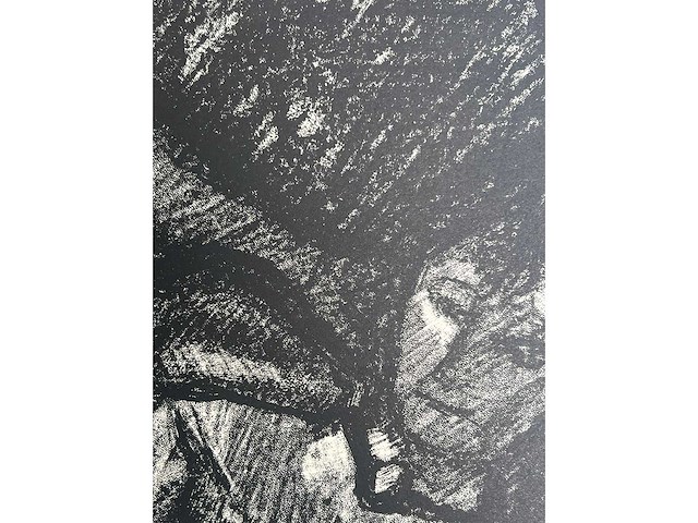 Marcel poncet - het dilemma - lithografie - afbeelding 5 van  8