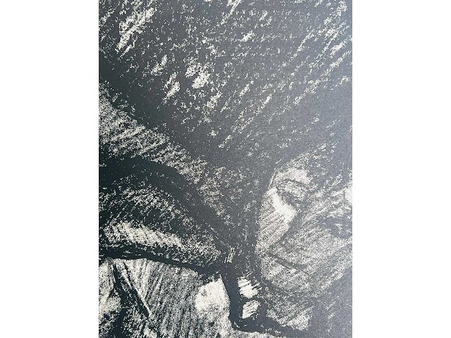 Marcel poncet - het dilemma - lithografie - afbeelding 7 van  8