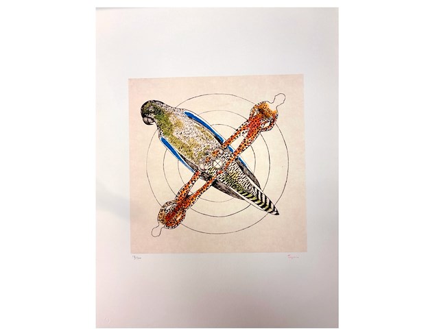 Marie cerminova - afbeelding 1 van  4