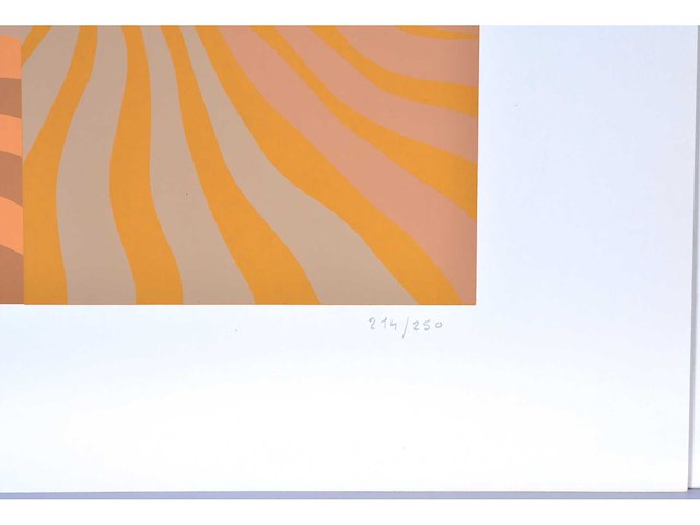 Marie-rose lannoy - zeefdruk - afbeelding 3 van  7