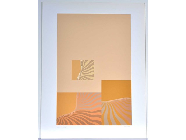 Marie rose lannoy - zeefdruk - afbeelding 2 van  7