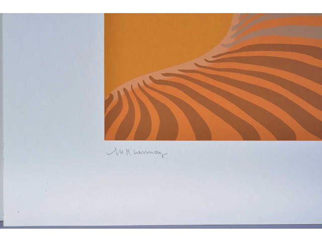 Marie rose lannoy - zeefdruk - afbeelding 4 van  7