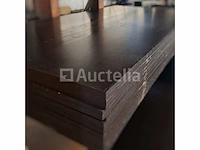 Maritiem multiplex paneel 300/150: 18 mm (1 plaat) - afbeelding 2 van  4
