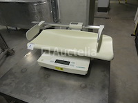 Marsden babyschaal - afbeelding 5 van  10