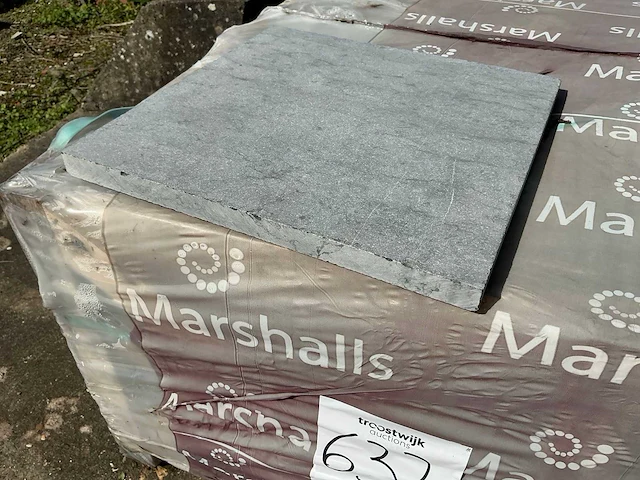 Marshalls vietnamese blauwe steentegel (24x) - afbeelding 2 van  4