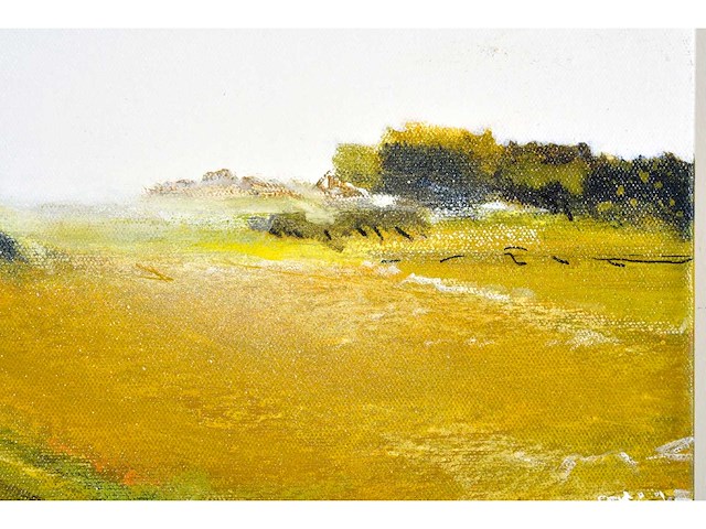 Martin baeyens - personal viewpoint 6 - acryl op doek - 40x40 cm - 2005 - afbeelding 12 van  12