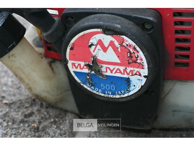 Maruyama bosmaaier - afbeelding 5 van  5