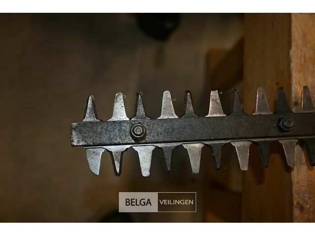 Maruyama telescopische heggenschaar - afbeelding 3 van  5