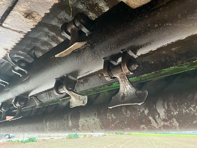 Maschio klepelmaaier - afbeelding 4 van  13