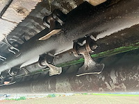 Maschio klepelmaaier - afbeelding 4 van  13